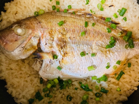 まるごと!鯛めし